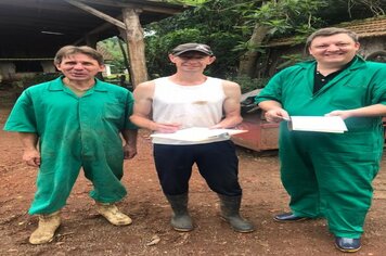 Imigrante realiza vacinação contra brucelose em bovinos