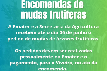 Emater e Agricultura abre prazo para pedidos de diversas mudas de árvores