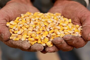Aberto prazo para o Pacote Agrícola de Verão