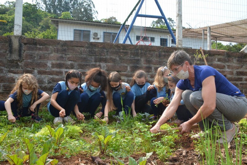 Alunos cultivam horta na EMEF Santo Antônio