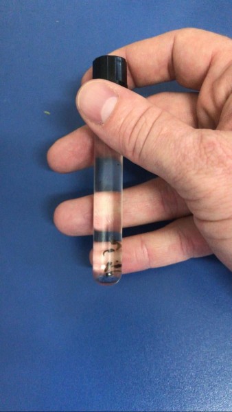 Agentes de Saúde e de Endemias realizam visitas para eliminar focos do mosquito