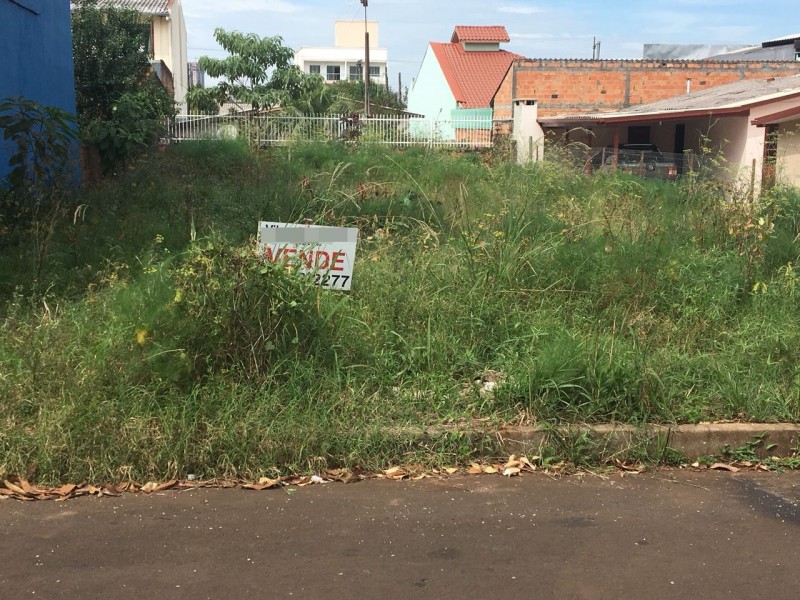 Lei que regulamenta obrigação de manter terrenos baldios limpos entra em vigor