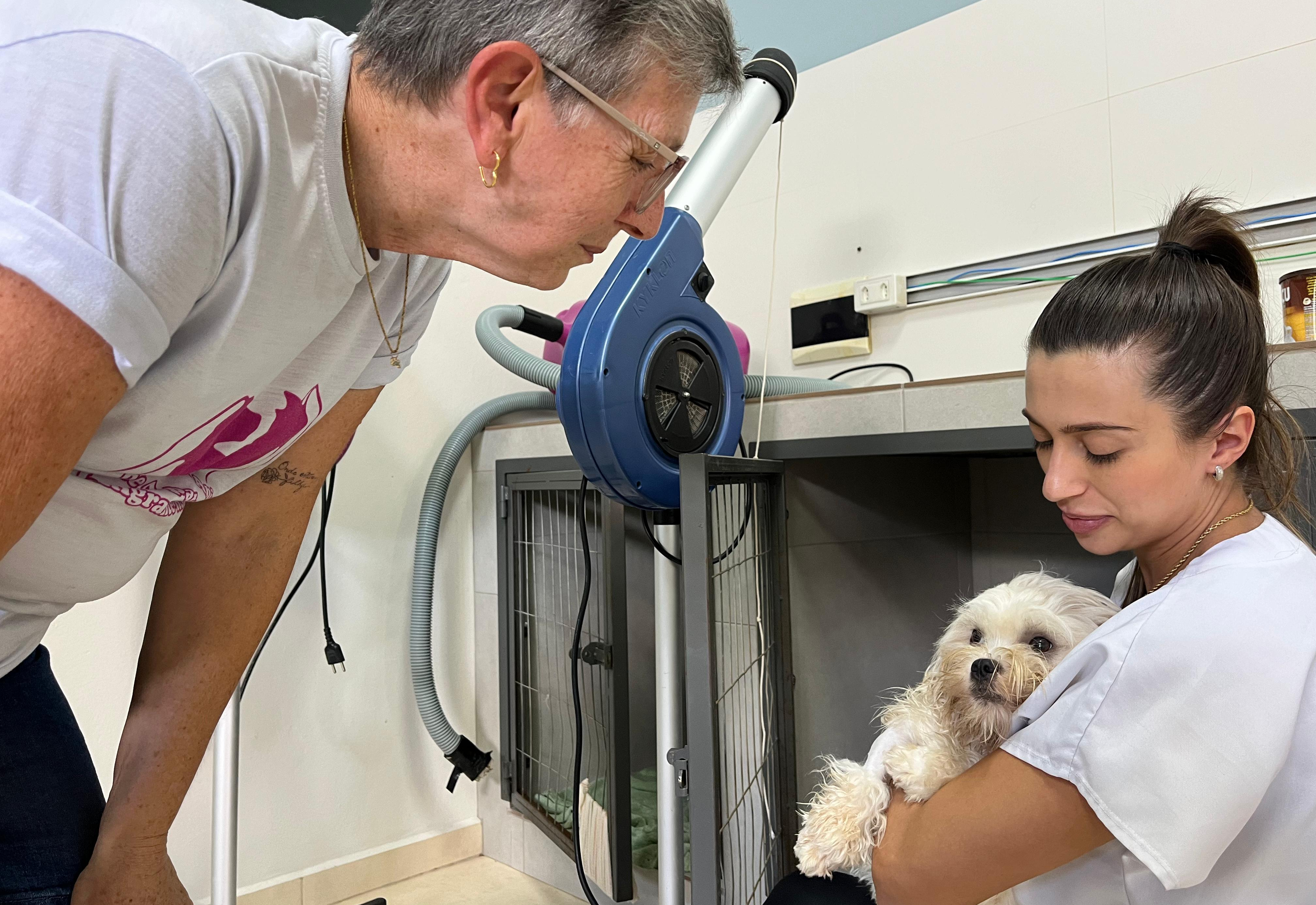 Programa Municipal de Castração de Cães e Gatos de Imigrante segue com inscrições abertas para 2026